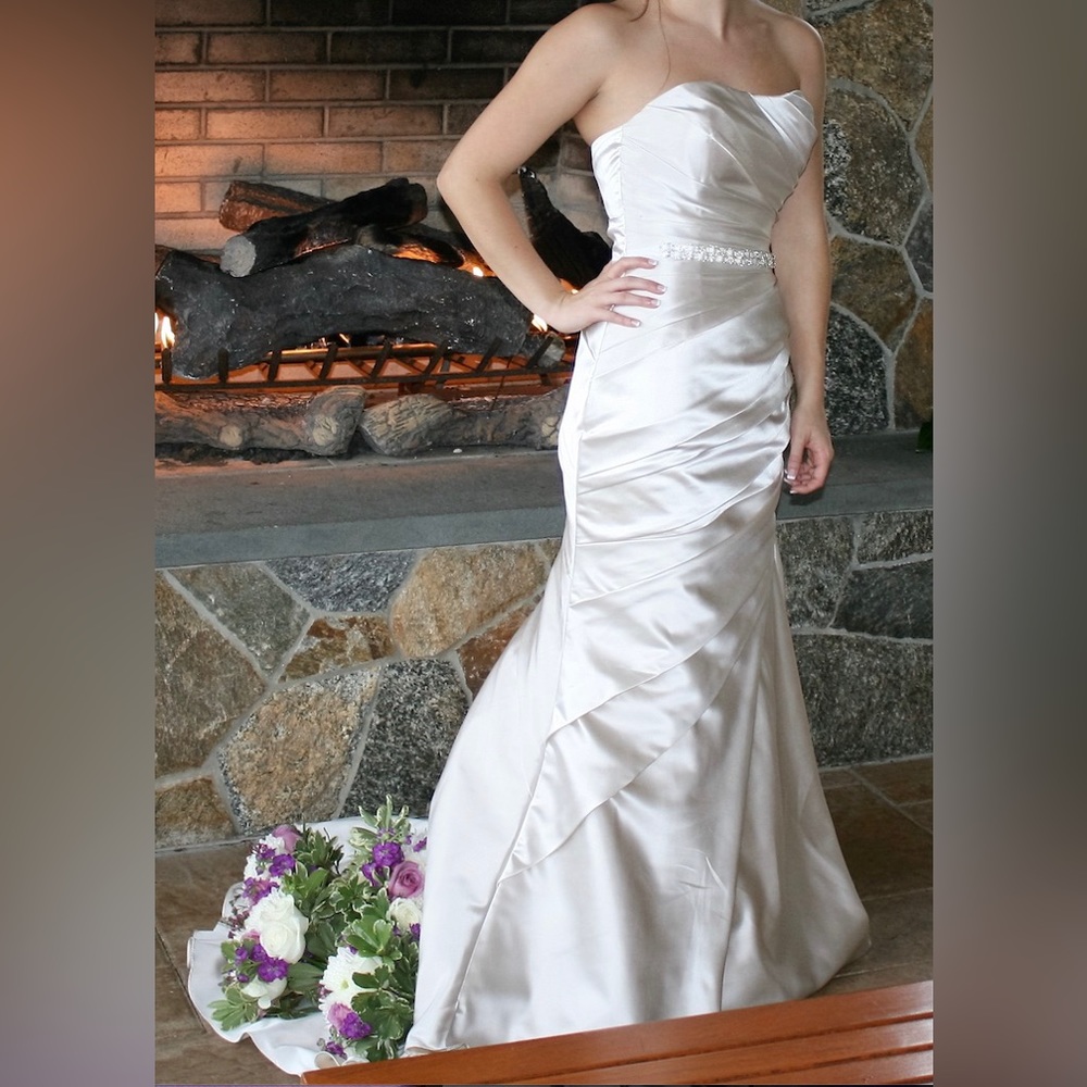 Pronovias Wedding Dress - Picture 3 of 8